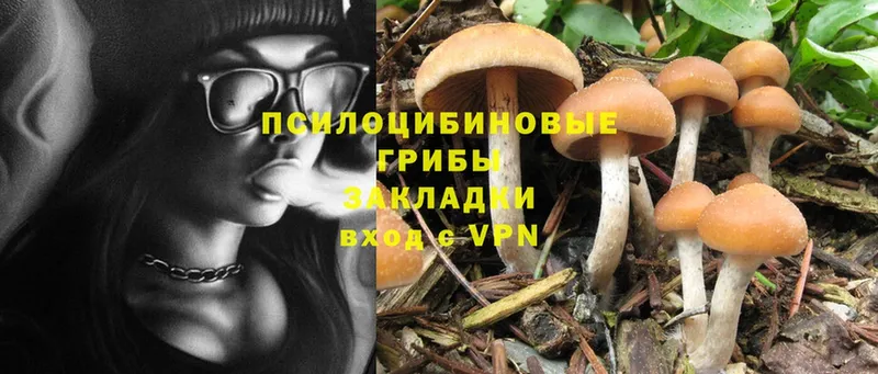 Псилоцибиновые грибы MAGIC MUSHROOMS  Руза 